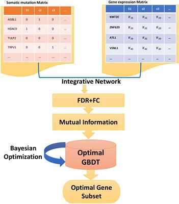 Feature Selection for Breast Cancer Classification by Integrating Somatic Mutation and Gene Expression